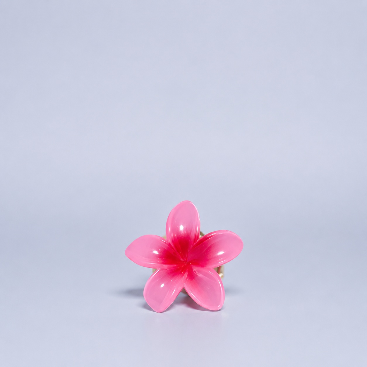 Hawaii-Spange klein