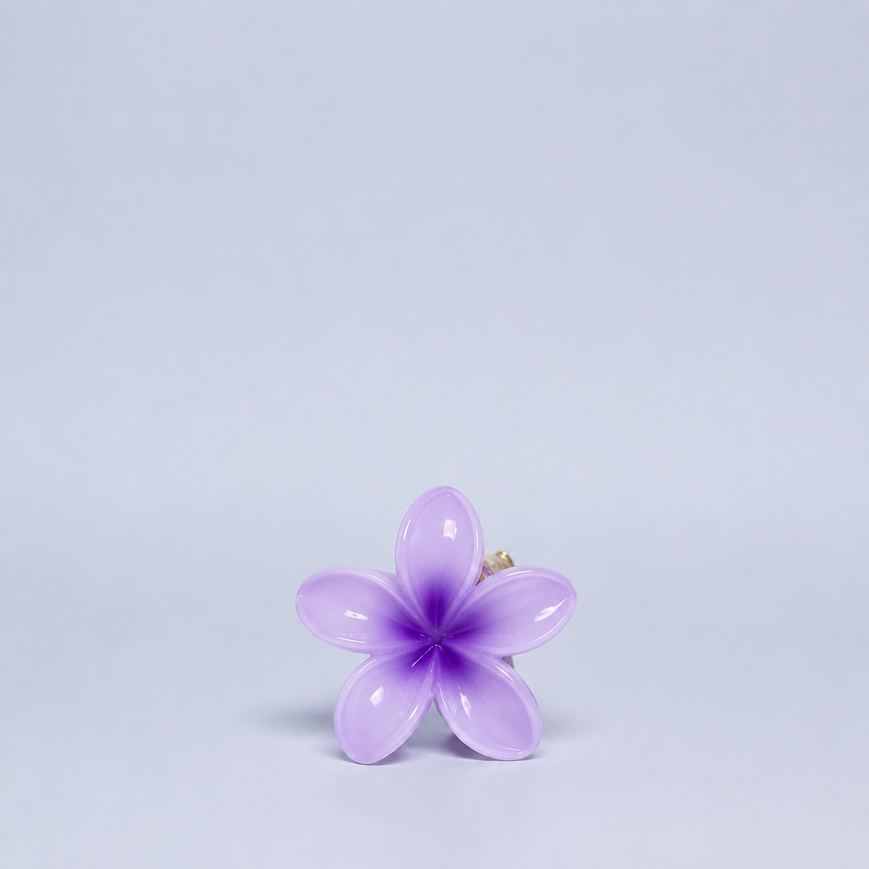 Hawaii-Spange klein