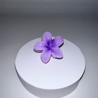 Hawaii-Spange klein