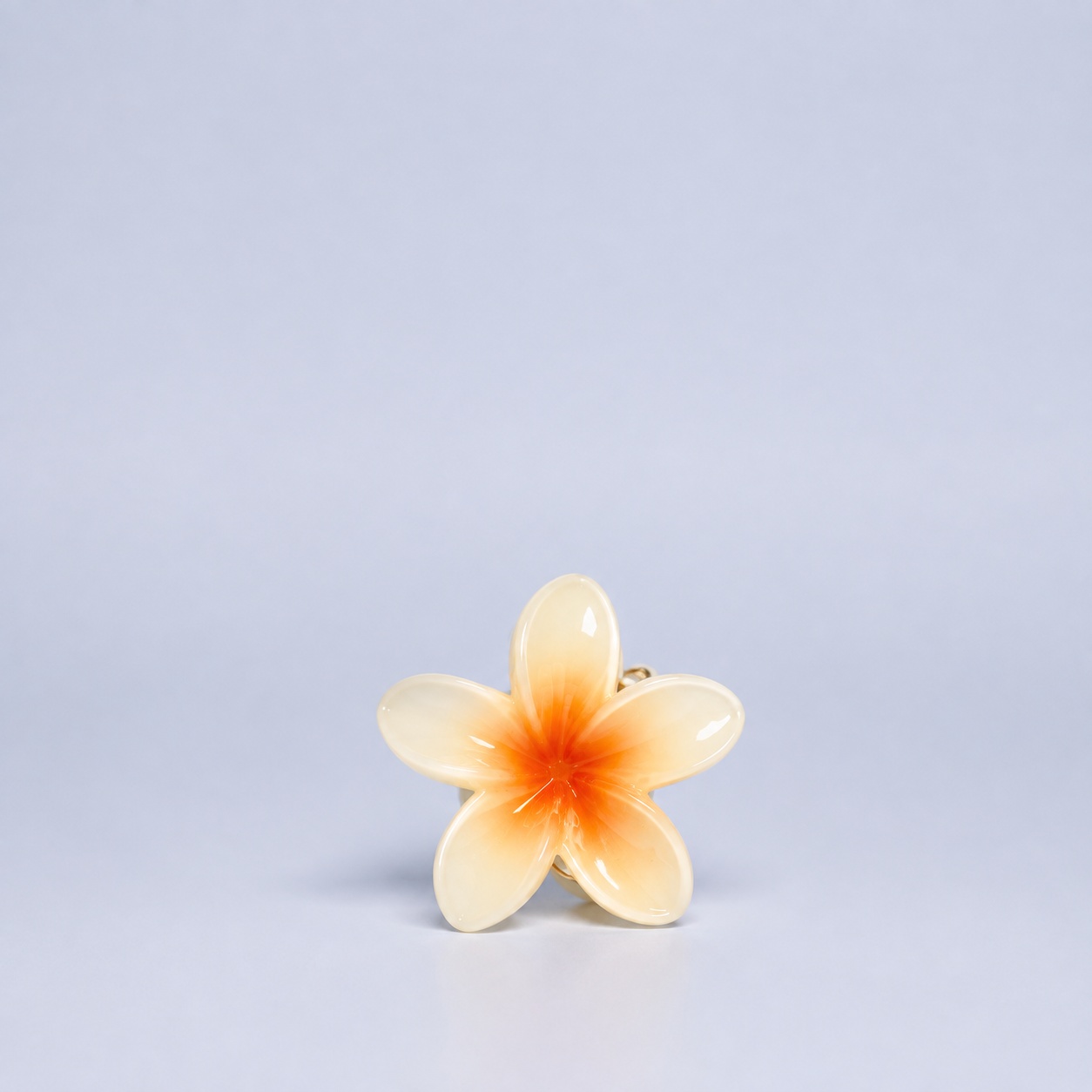 Hawaii-Spange klein
