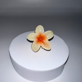 Hawaii-Spange klein
