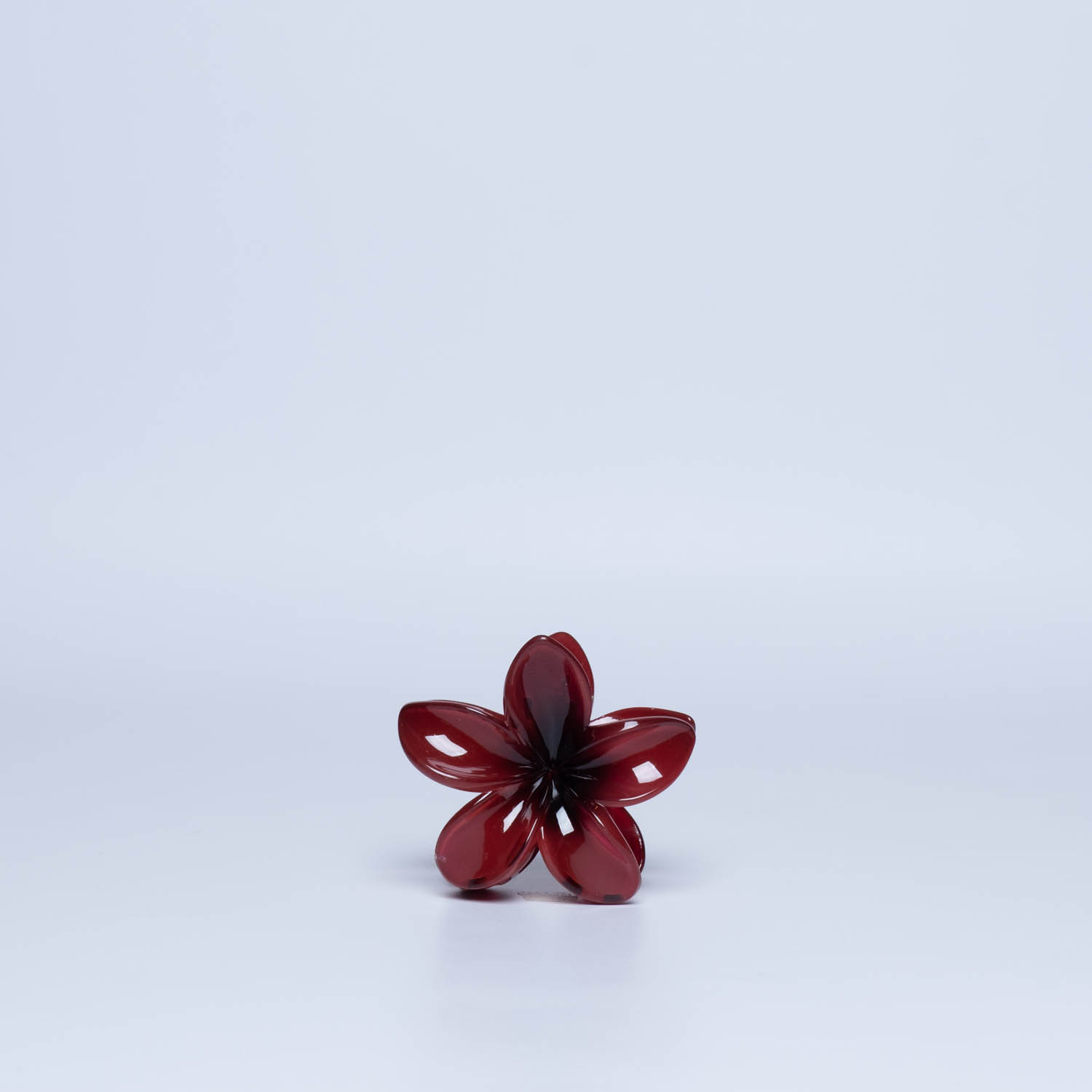 schwarzrot