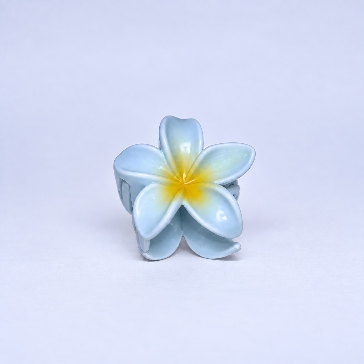 Hawaii-Spange klein
