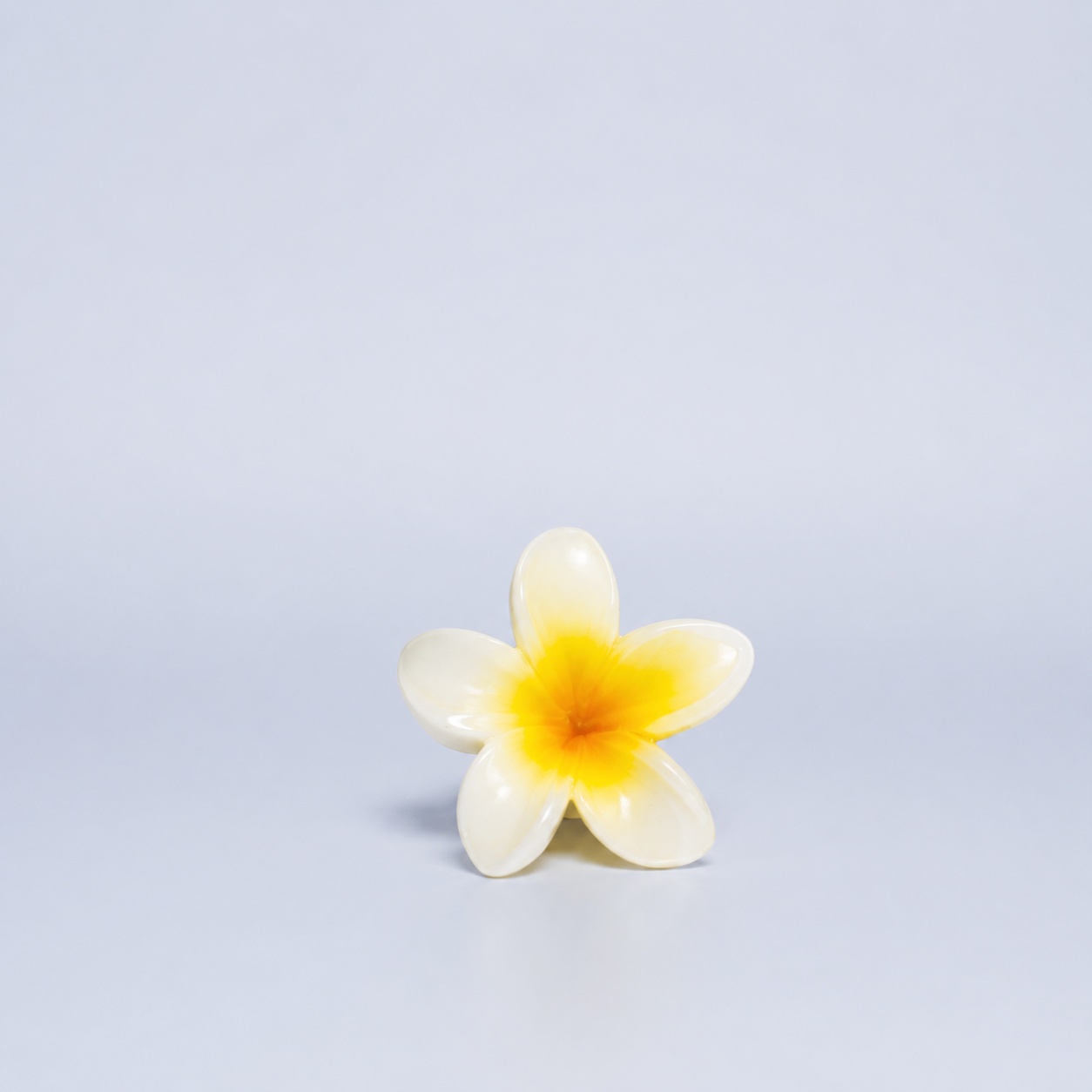 Hawaii-Spange klein