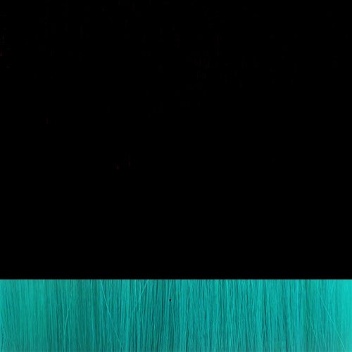 ClipIN Pony