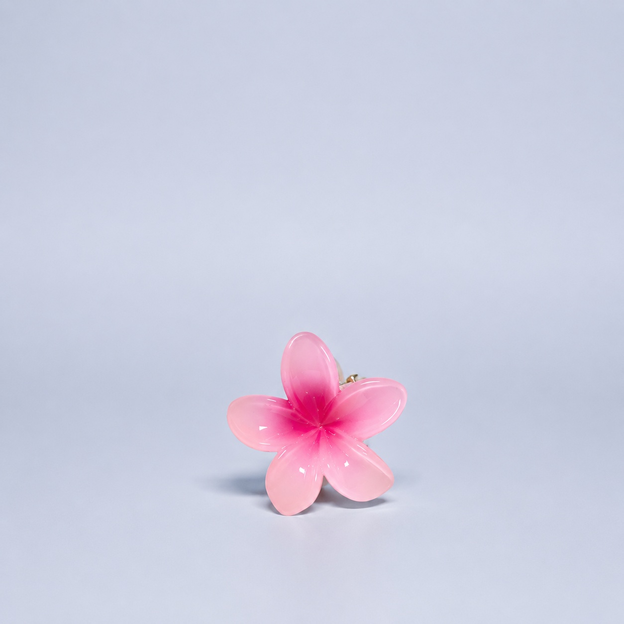 Hawaii-Spange klein