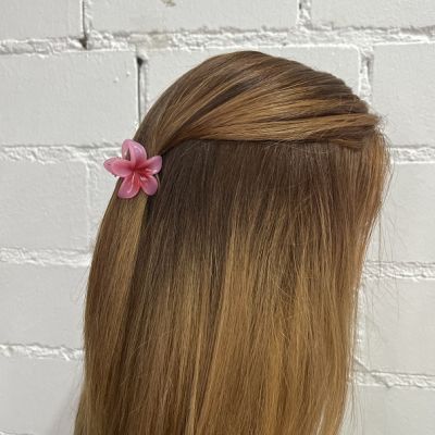 Hawaii-Spange klein